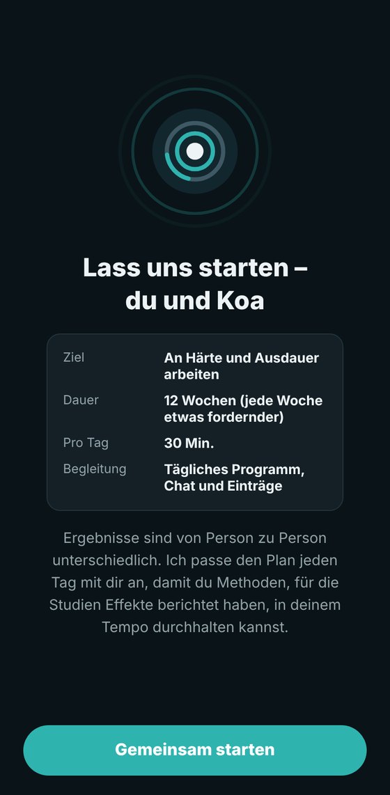 Dein eigener 12-Wochen-Plan im Überblick