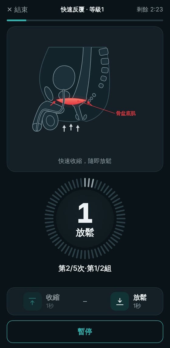App 中的骨盆底肌訓練