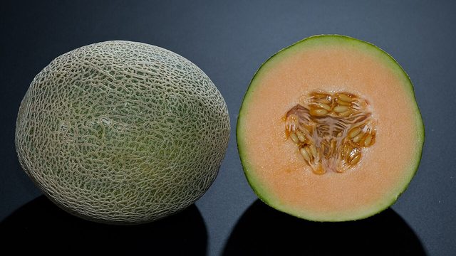 メロン